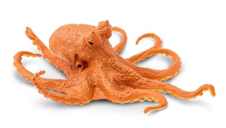 結婚祝い Safari Ltd Nomad Florida The – Octopus 生鮮魚介類・水産加工品
