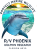 Dolphin Life