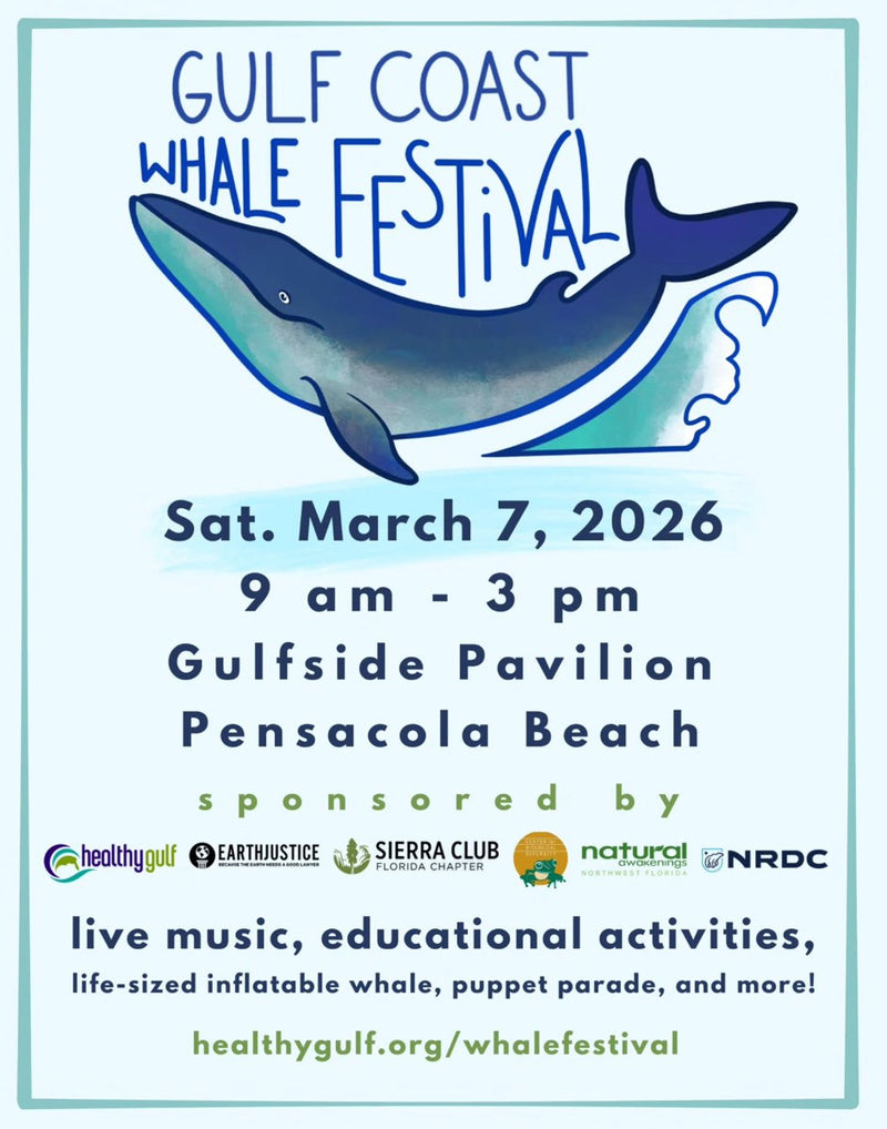 Gulf Coast Whale Festival