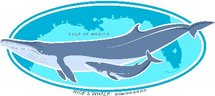 Our Gulf, Our Whale