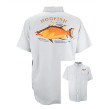 Load image into Gallery viewer, Hogfish Shirt: by Artist, Alyssa Baruch
