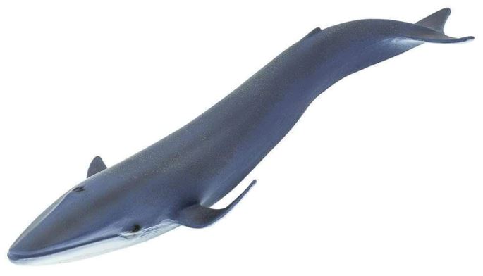 Safari Ltd. Blue Whale