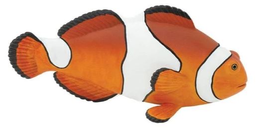 Safari Ltd. Clownfish