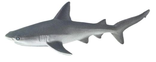 Safari Ltd. Gray Reef Shark