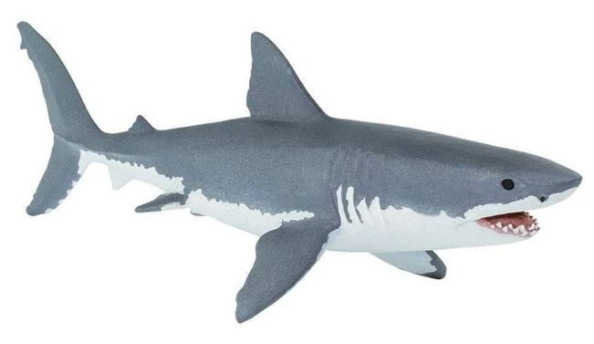 Safari Ltd Great White Shark