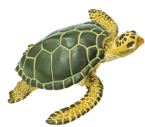 Safari Ltd. Green Sea Turtle