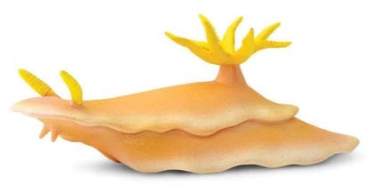 Safari Ltd. Nudibranch