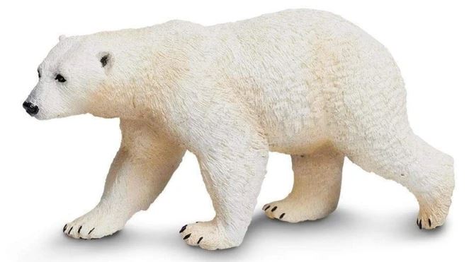 Safari Ltd. Polar Bear