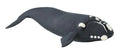 Safari Ltd. Right Whale
