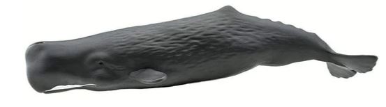 Safari Ltd. Sperm Whale