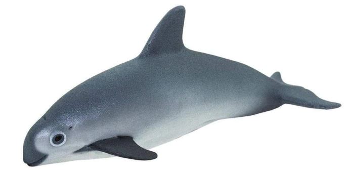 Safari Ltd. Vaquita Porpoise