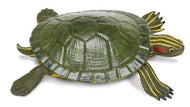 Safari Ltd. Red Eared Slider Turtle