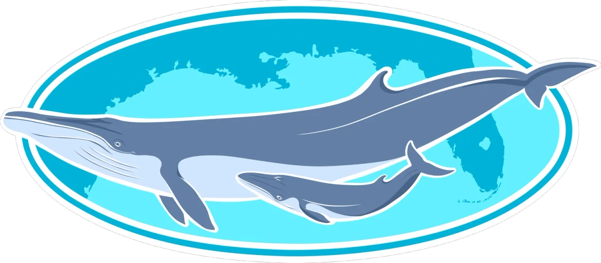 Healthy Gulf — Our Gulf, Our Whale logo