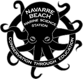 Navarre Beach Marine Science Station